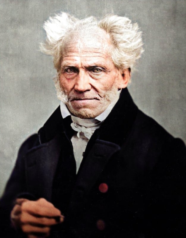 Resultat d'imatges de schopenhauer