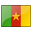 Cameroonian Flag