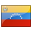 Venezuelan Flag